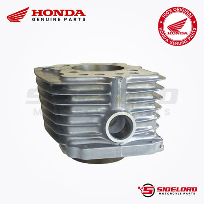 Cylinder Block, CDI - TMX 155 - Honda Genuine (12100-KB5-720)